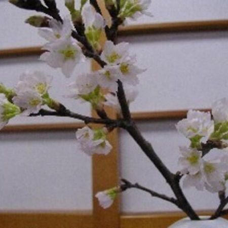 Wakaba Ryokan / Vacation Stay 29370 사카타 외부 사진